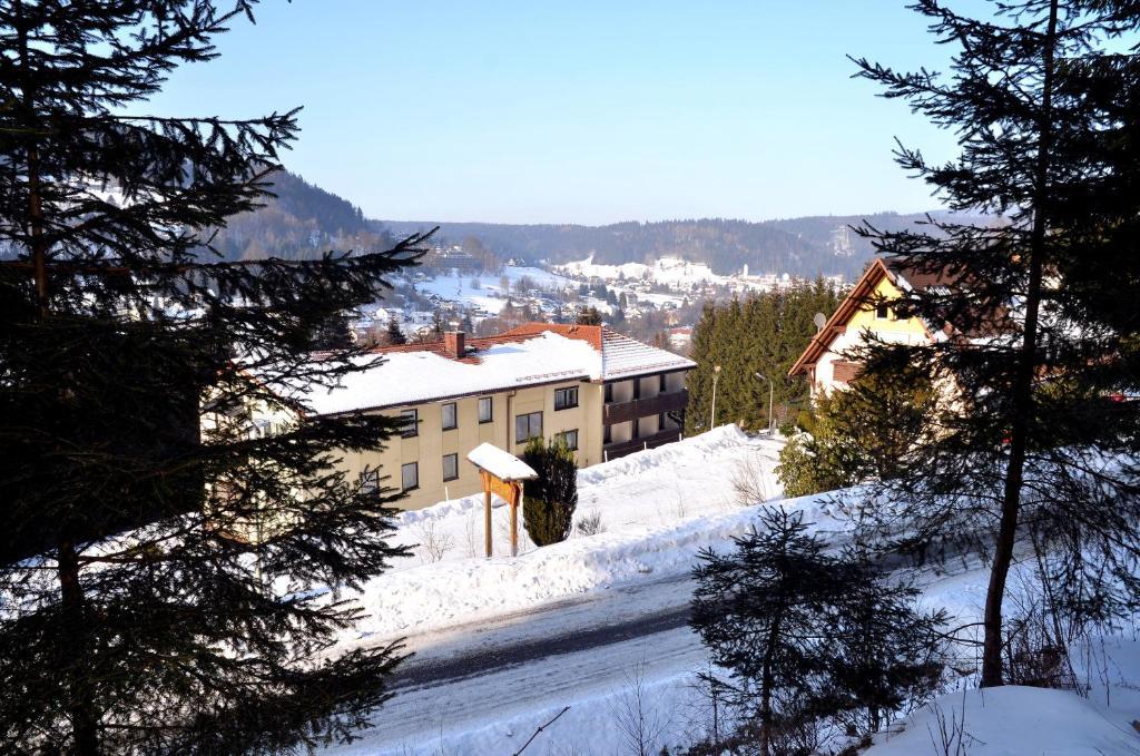 Hotel Pension Waldbaude Warmensteinach Eksteriør billede